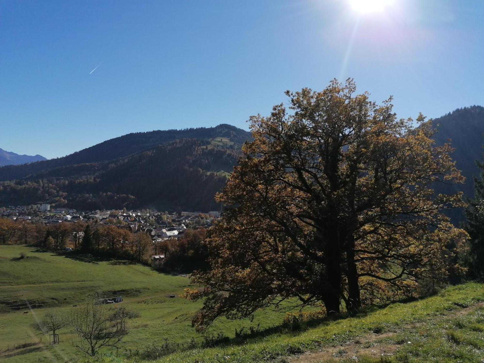 Landhaus Auf Der Hoeh Immenstadt im Allgäu Eksteriør bilde
